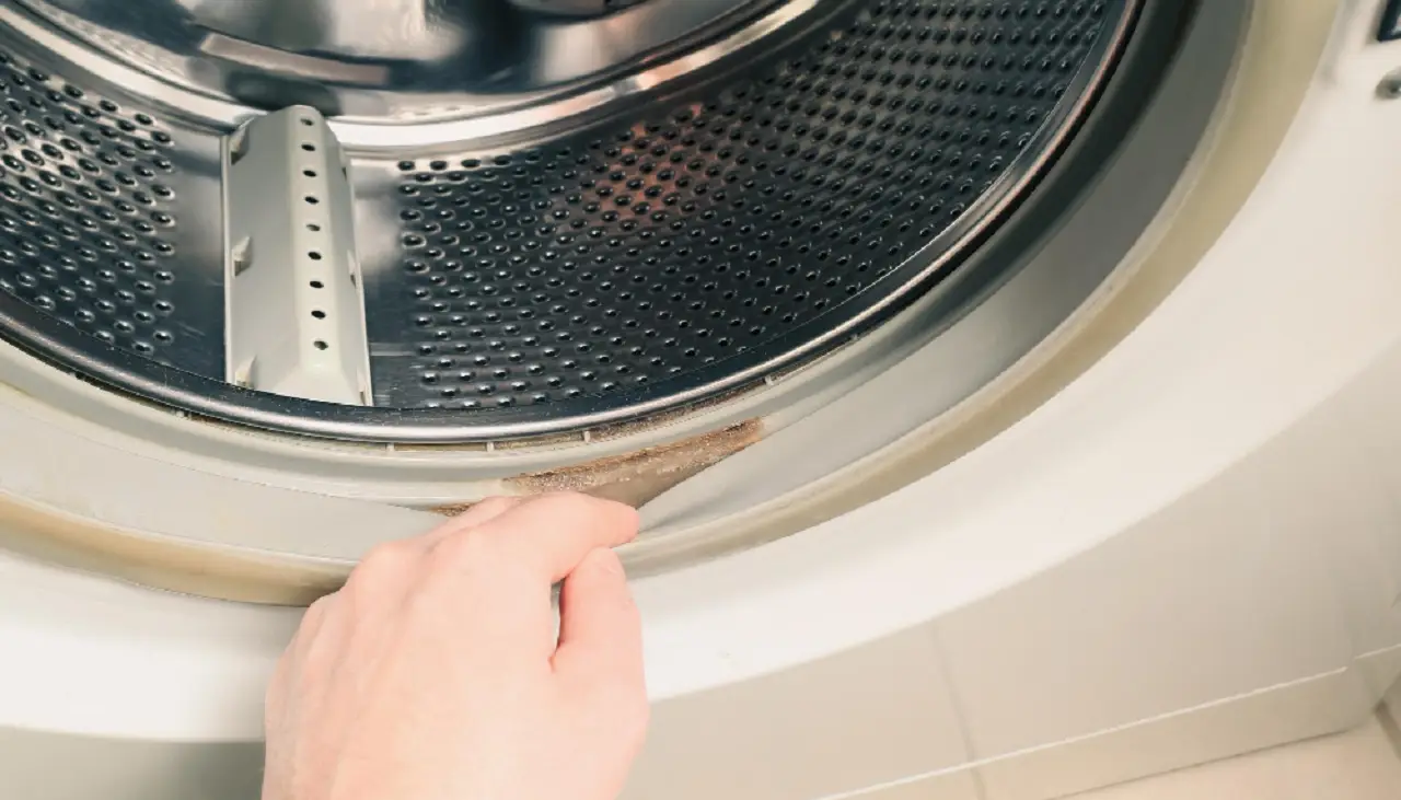 I metodi più efficaci per rimuovere la muffa dalla lavatrice