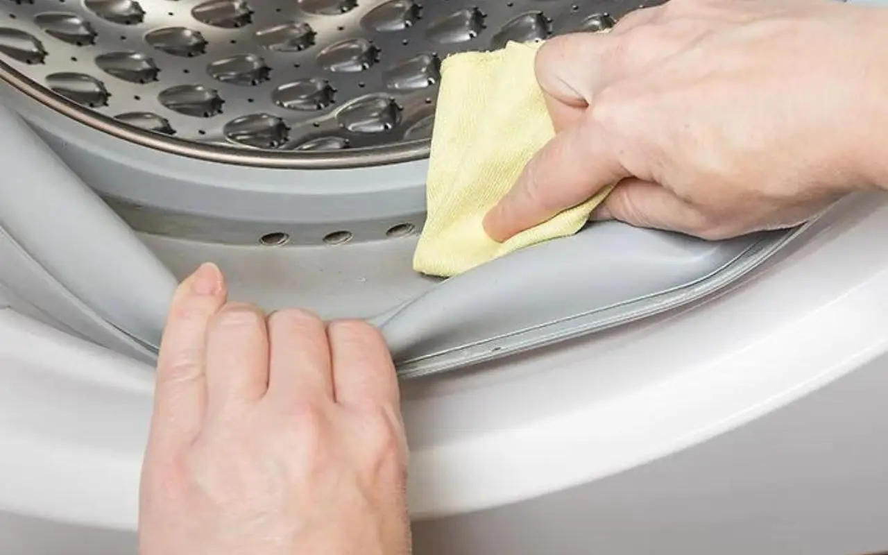I metodi più efficaci per rimuovere la muffa dalla lavatrice Immagine selezionata