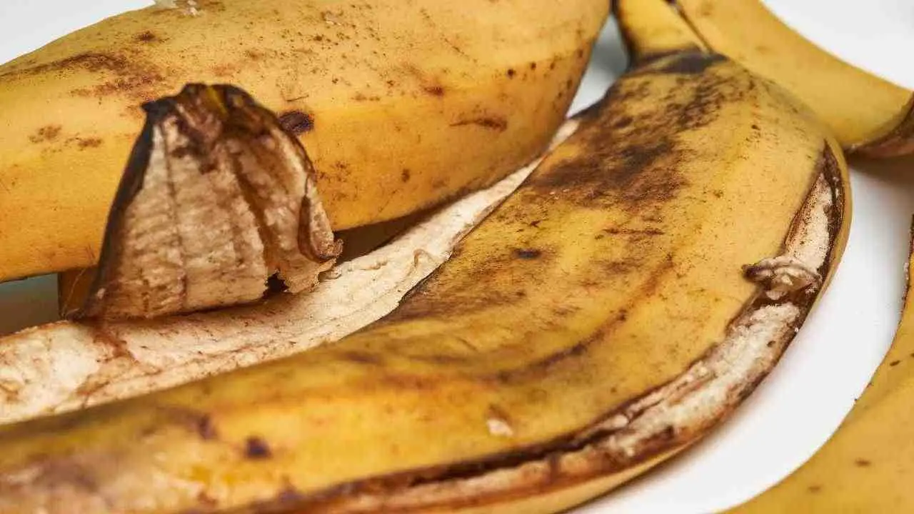 Concimare in modo naturale con le bucce di banana: ecco come fare Immagine selezionata
