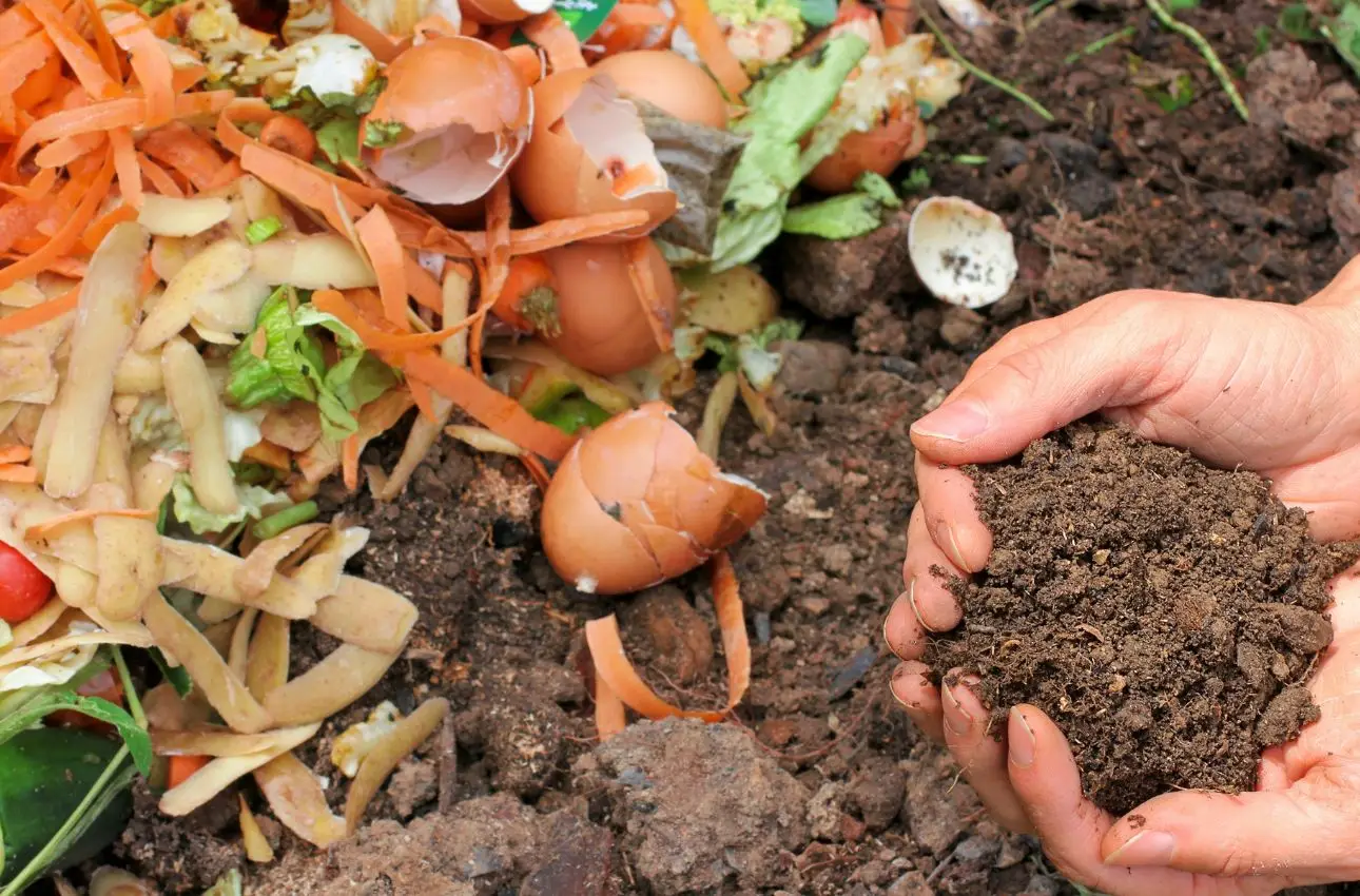 Aerazione del compost: fondamentale per evitare cattivi odori