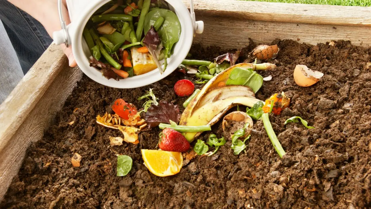 Aerazione del compost: fondamentale per evitare cattivi odori Aerazione del compost: fondamentale per evitare cattivi odori