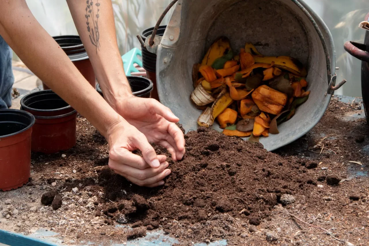 Aerazione del compost: fondamentale per evitare cattivi odori Aerazione del compost: fondamentale per evitare cattivi odori