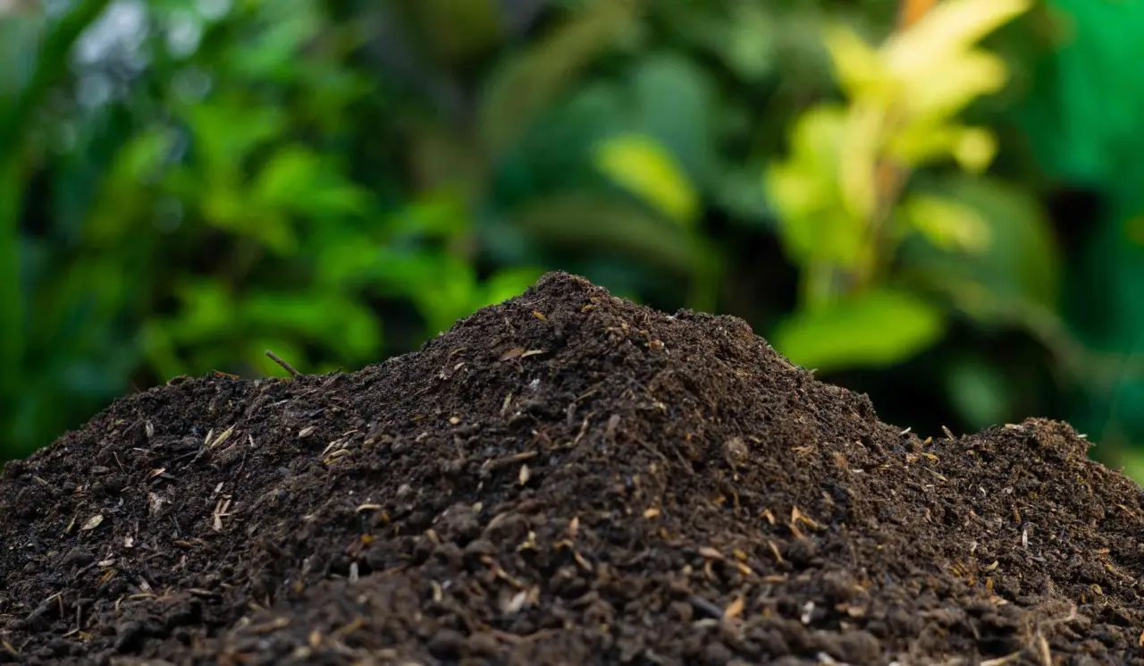 Aerazione del compost: fondamentale per evitare cattivi odori Aerazione del compost: fondamentale per evitare cattivi odori