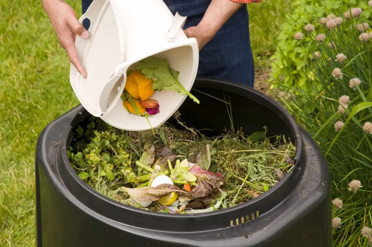 Aerazione del compost: fondamentale per evitare cattivi odori Aerazione del compost: fondamentale per evitare cattivi odori