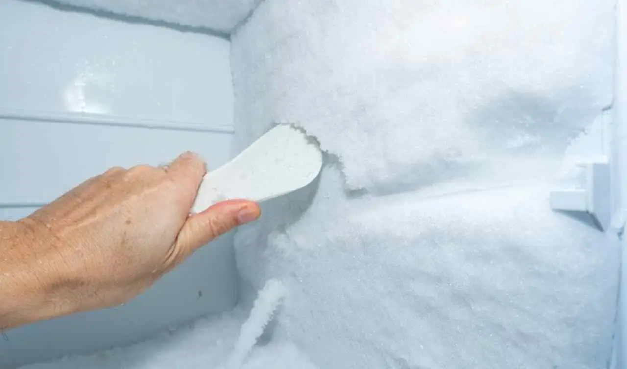 Moneta nel freezer prima di partire: scopri il trucco utile per le vacanze SS - Moneta nel congelatore
