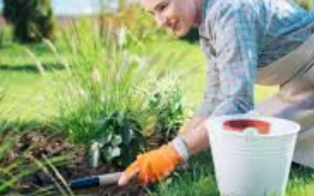 Giardinaggio sostenibile: i consigli di un agronomo per risparmiare acqua in estate Giardinaggio sostenibile: i consigli di un agronomo per risparmiare acqua in estate