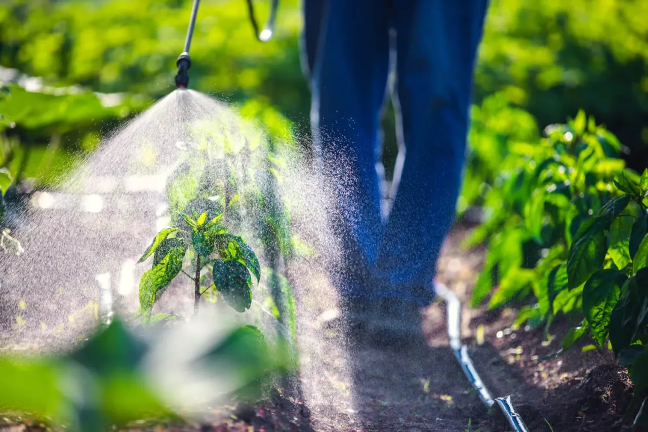 Come preparare un erbicida naturale al sale: guida pratica e consigli Come preparare un erbicida naturale al sale: guida pratica e consigli